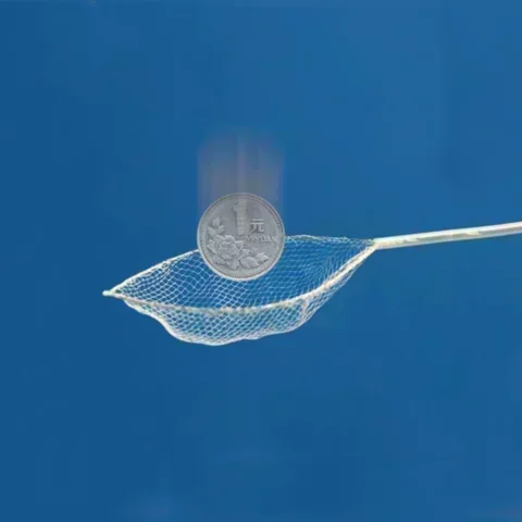 Disposable Endoscopic Grasping Forceps with Net