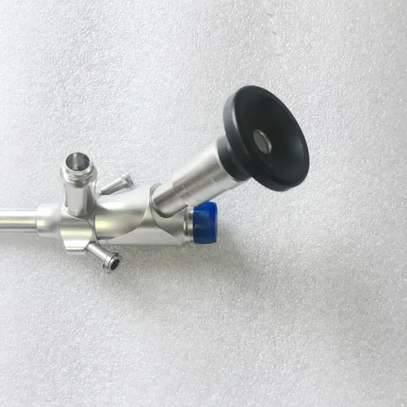 10mm Interlaminal endoscope