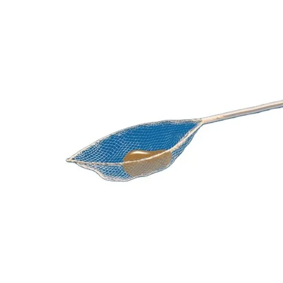 Disposable Endoscopic Grasping Forceps with Net