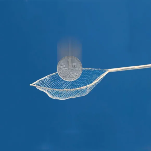 Disposable Endoscopic Grasping Forceps with Net